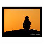 The Silhouette of a monkey agains a blazing orange sky. Hampi, India